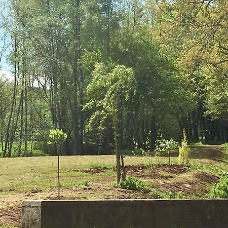 Le Moulin De Lassalle Curemonte Екстер'єр фото